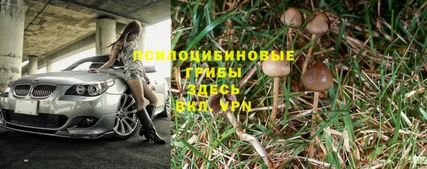 гидра Нефтекумск