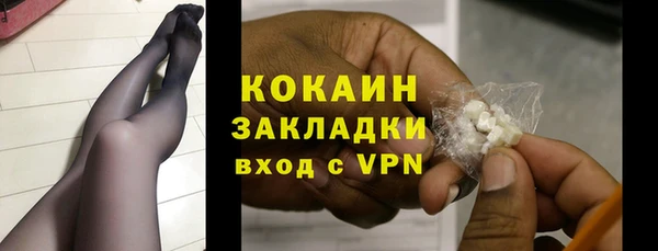 тгк Нея