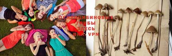 хмурый Наволоки