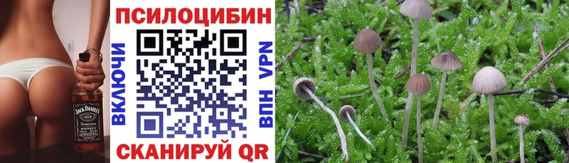 Галлюциногенные грибы Cubensis Макушино